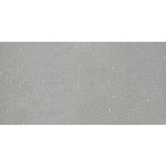 Halve betontegel 30x15x4,5 cm Grijs