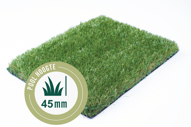 Gras van de Buren  Odin 400 cm  l  Paviment.nl