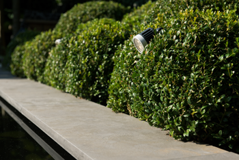 Bluestone rand recht 100x30x3 cm Sfeer - Paviment.nl