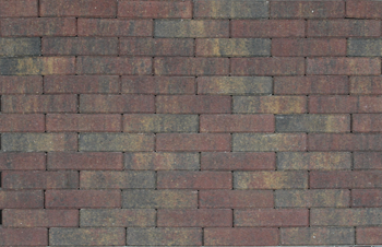 Tremico waalformaat 20x5x6 cm Bont - Paviment.nl