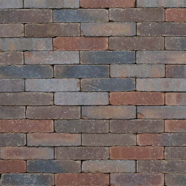 Clayville Brussel WF 200x48x60 mm Bezand Getrommeld