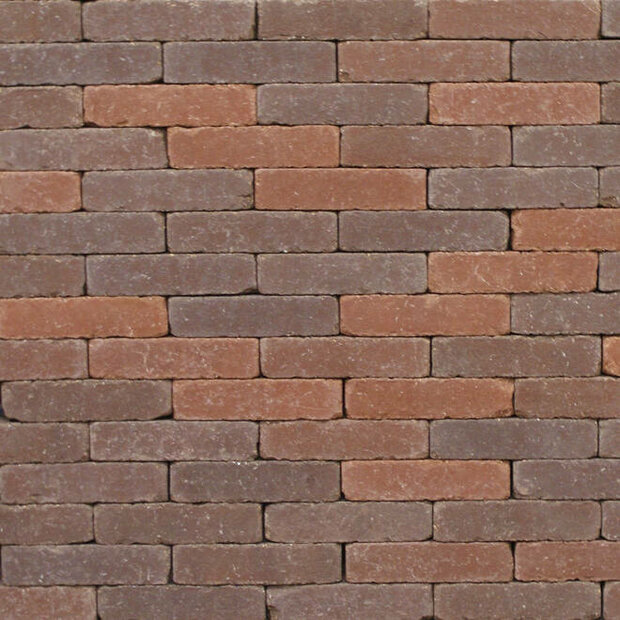 Clayville Oostende WF 200x48x60 mm Bezand Getrommeld