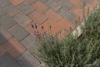 Tambour 30x20x6 cm Brons sfeer 2 - paviment.nl