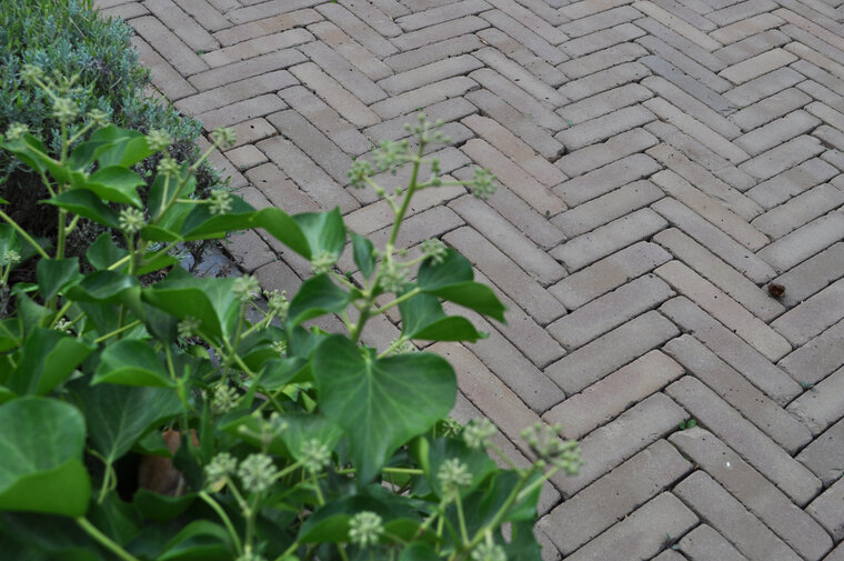 Clayville De Panne WF 200x48x60 mm Bezand Getrommeld