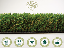 Gras van de Buren  Diamond Sfeer l Paviment.nl