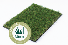 Gras van de Buren  Monaco 400 cm  l  Paviment.nl