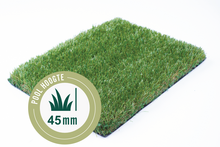 Gras van de Buren  Odin 400 cm  l  Paviment.nl