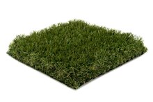 Gespa Platinum 55/200 cm breed