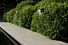 Bluestone rand recht 100x30x3 cm Sfeer - Paviment.nl