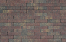 Tremico waalformaat 20x5x6 cm Bont - Paviment.nl