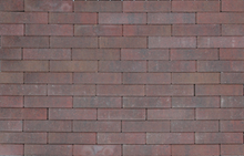 Tremico waalformaat 20x5x6 cm Oud bont - Paviment.nl