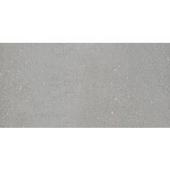 Halve betontegel 30x15x6 cm Grijs